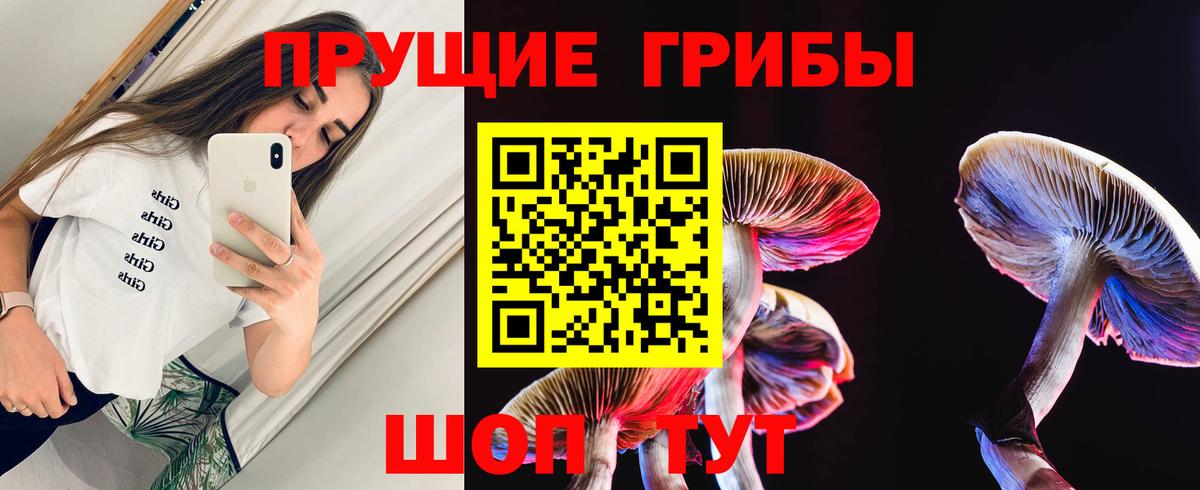 Галлюциногенные грибы Psilocybe  Псилоцибиновые грибы ЛСД  продажа наркотиков  Вход с VPN  Гуково 